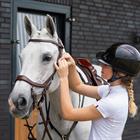 Hoofdstel PresTeq FaySport Bruin