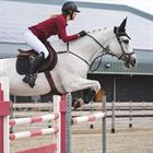 Hoofdstel PresTeq FaySport Bruin