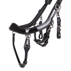 Hoofdstel PresTeq FaySport Shine Zwart