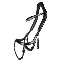 Hoofdstel PresTeq FaySport Shine Zwart