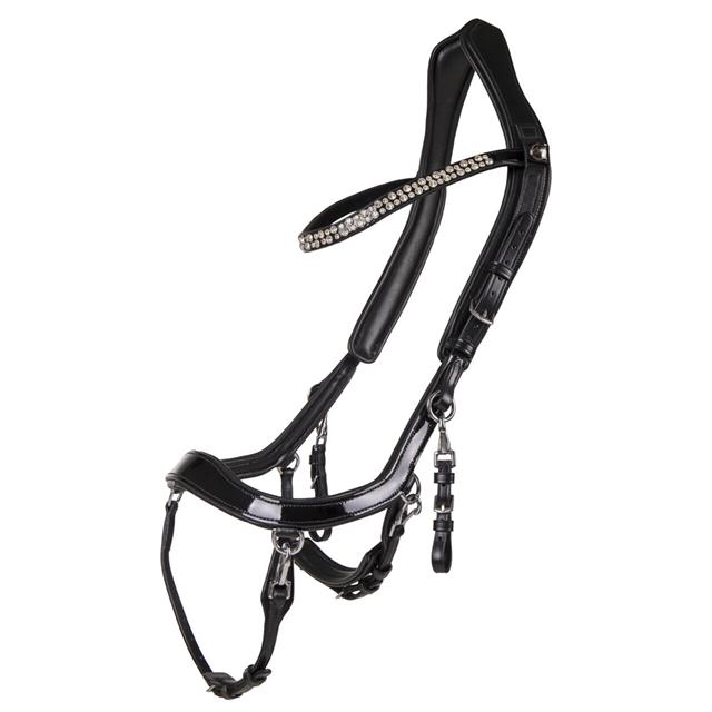Hoofdstel PresTeq FaySport Shine Zwart