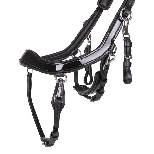 Hoofdstel PresTeq FaySport Shine Zwart