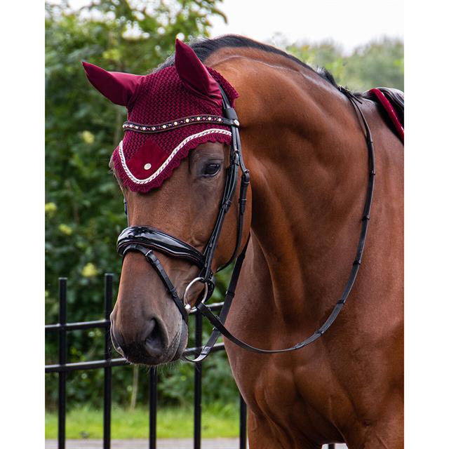 Hoofdstel QHP Orlando Zwart-rood