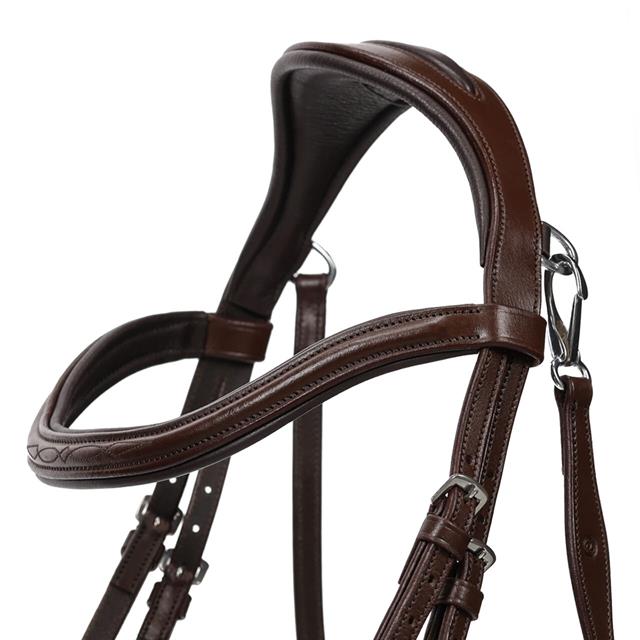 Hoofdstel QHP Salerno Bruin