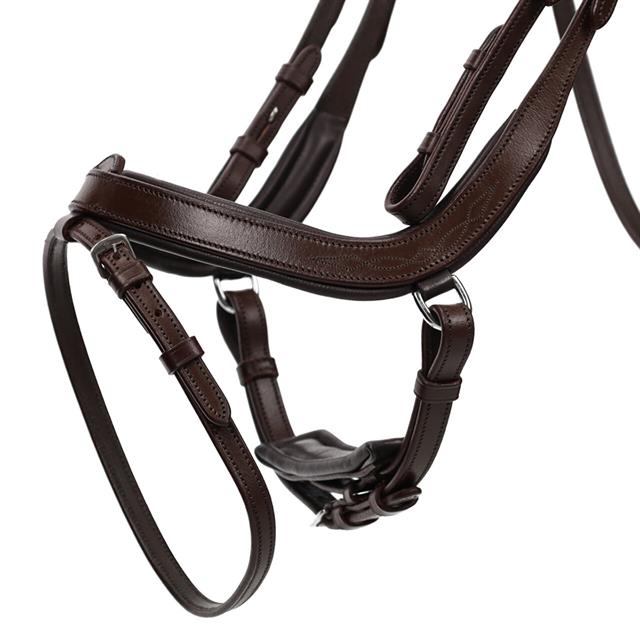 Hoofdstel QHP Salerno Bruin
