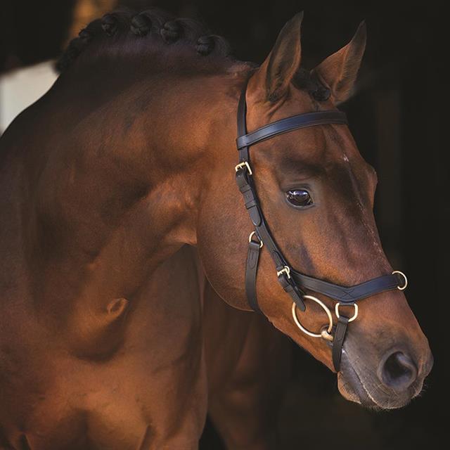 Hoofdstel Rambo Micklem Multi Bridle Zwart