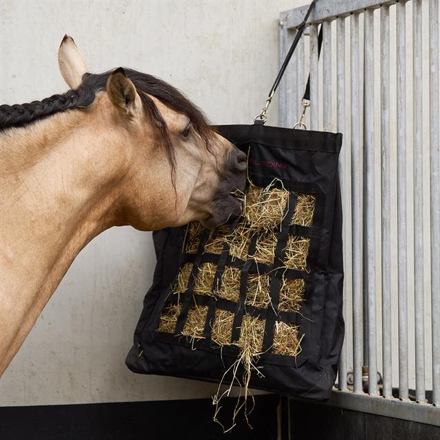 Hooitas Imperial Riding IRHCorner Zwart