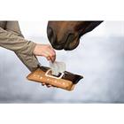 Horse Wipes Natural Clean Wit