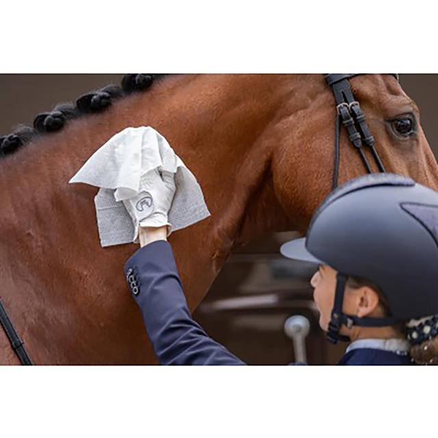 Horse Wipes Natural Clean Wit