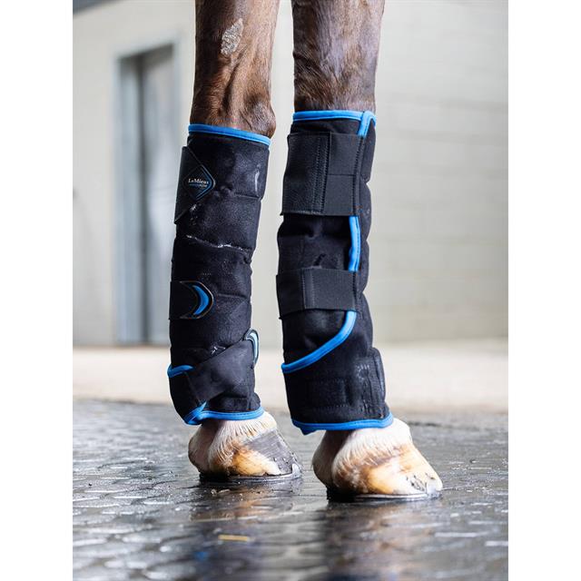 Ice Boot LeMieux Freeze Flow Zwart