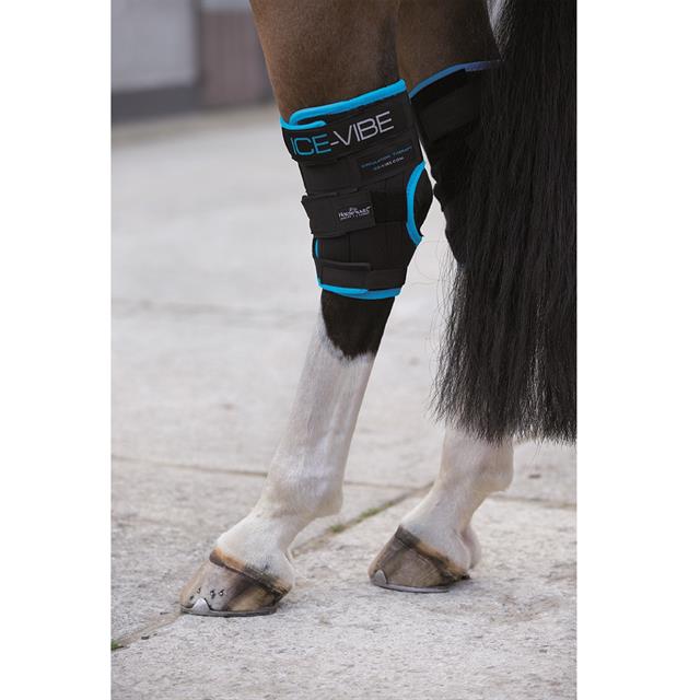Ice-Vibe Horseware Hock Wrap Zwart