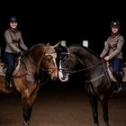 Jas Equestrian Stockholm Active Champagne Middenbruin