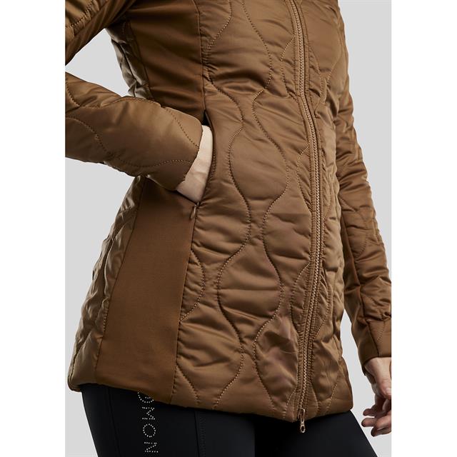 Jas Montar MOAbbey Bruin