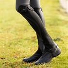 Jodhpurs Ariat Ascent Zwart