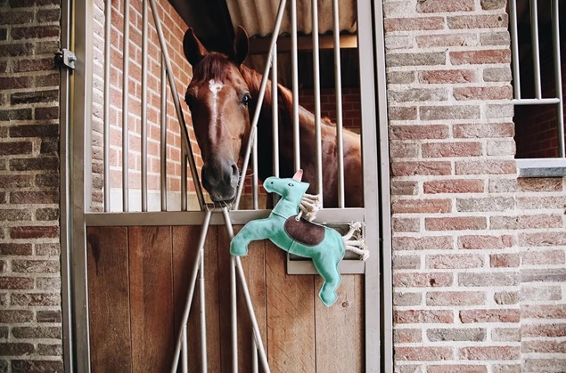 kentucky paardenspeeltje