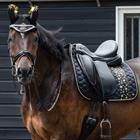 Kopstuk Accessoire QHP Celebrate Goud