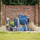 Laarzentas QHP Blauw