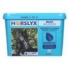Liksteen Horslyx Mint 