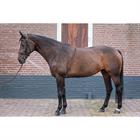 Longeerhulp Harry's Horse Soft Zwart-wit