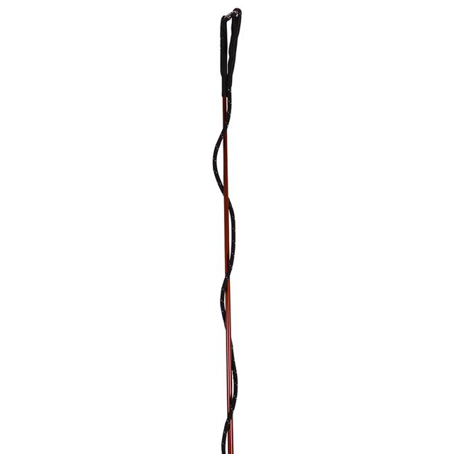 Longeerzweep Lammert Haanstra Carbon Coloured Bruin