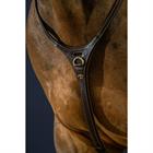 Martingaal D Collection by Dy'on Yoke Bruin