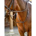 Martingaal LeMieux Hunter Standing Bruin-zilver