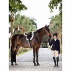 Martingaal LeMieux Hunter Standing Bruin-zilver