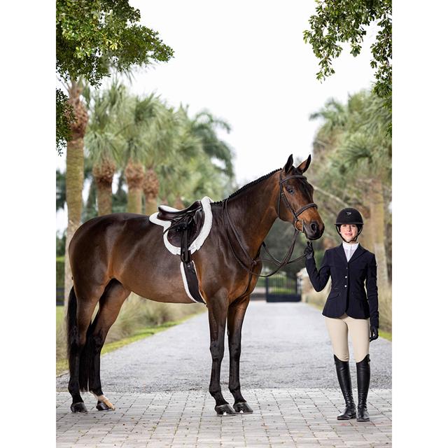 Martingaal LeMieux Hunter Standing Bruin-zilver