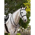 Martingaal LeMieux Hunter Standing Zwart-zilver