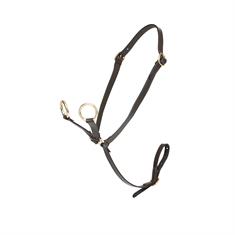 Martingaal LeMieux Toy Pony Bruin