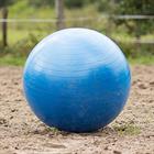 Mega Paardenvoetbal Blauw