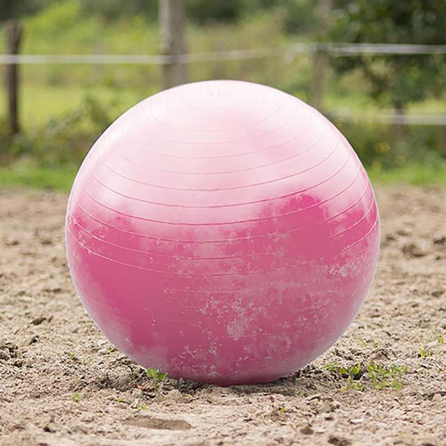 Mega Paardenvoetbal Roze