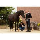 NAF Farrier Dressing 