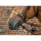 Neusriem D Collection by Dy'on Rope Bruin
