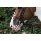Neusriem D Collection by Dy'on Rope Bruin
