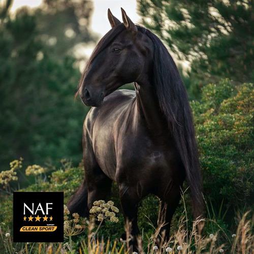 Nieuw van NAF: Metazone
