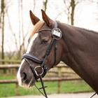 Nummerhouder QHP Ricki Bruin-goud