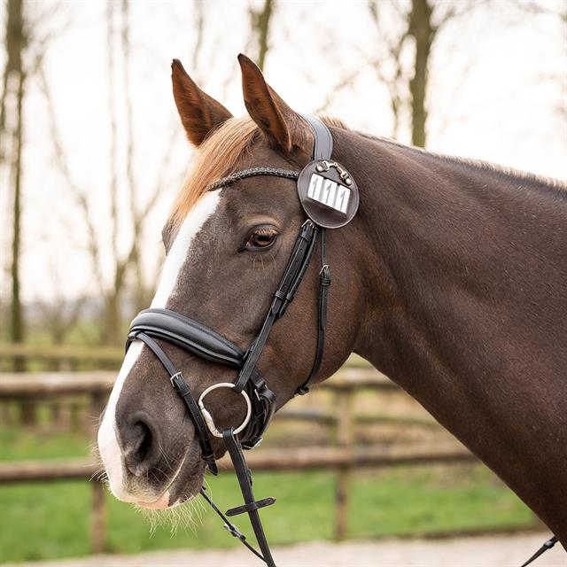 Nummerhouder QHP Ricki Bruin-goud