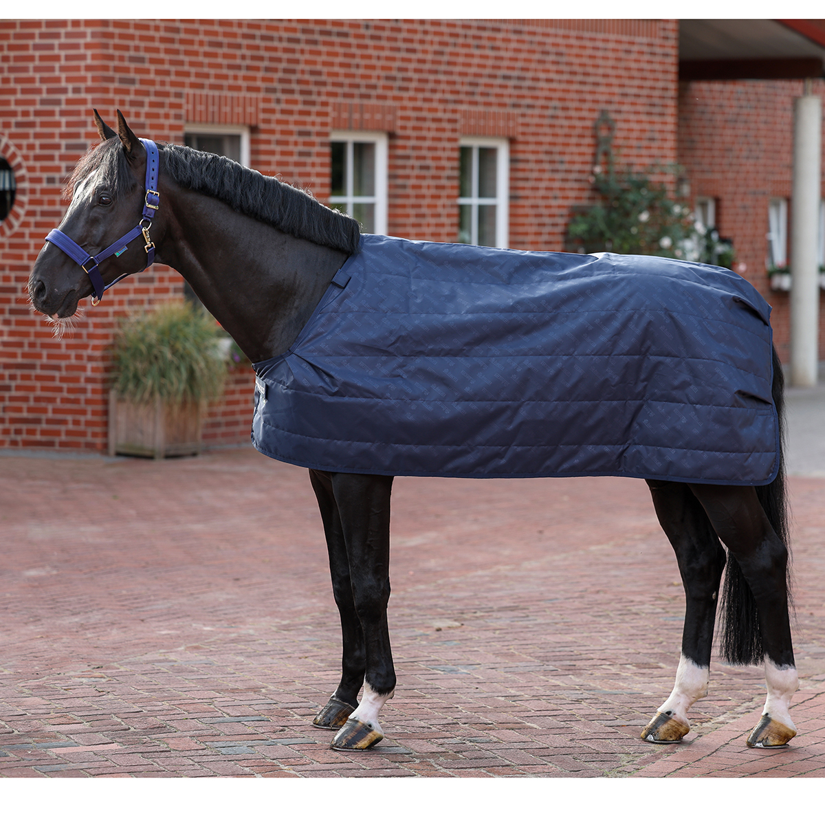 Onderdeken Bucas Liner 300gr Donkerblauw, 206 cm in donkerblauw