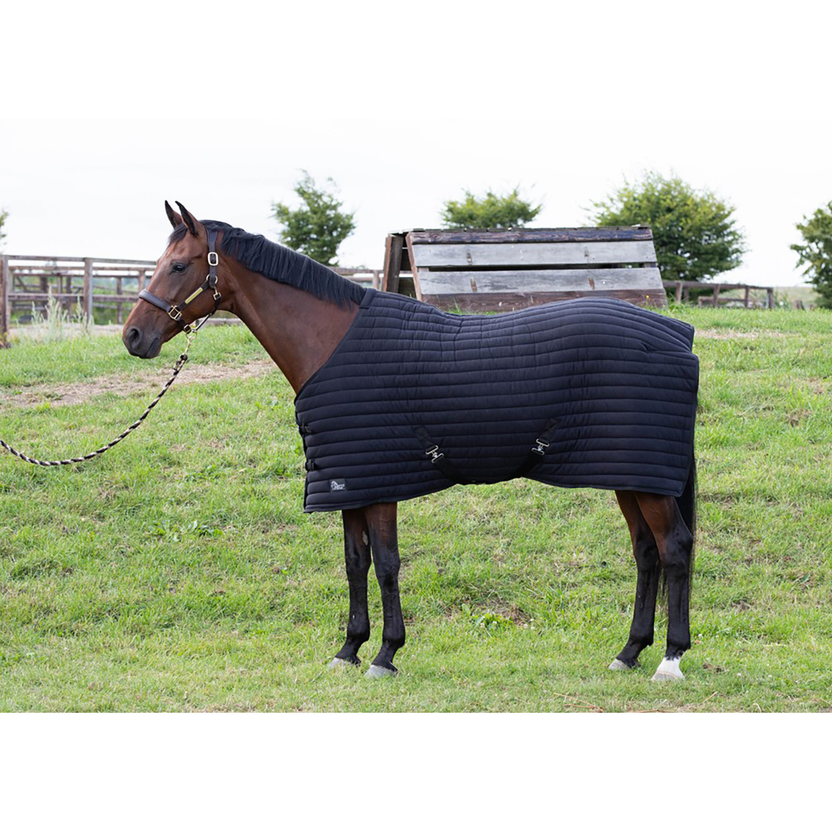 Harry's Horse Onderdeken Powerliner 200gr - maat 135/185 - black