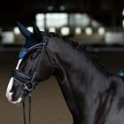 Oornetje Equestrian Stockholm Blue Meadow Blauw