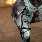 Oornetje Equestrian Stockholm Modern Mint Green Lichtgroen