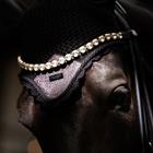 Oornetje Equestrian Stockholm Purple Glimmer Paars