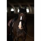 Oornetje Equestrian Stockholm Sportive Mocha Bruin