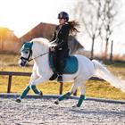 Oornetje Horsegear Aurum Groen