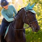 Oornetje LeMieux Classic Turquoise