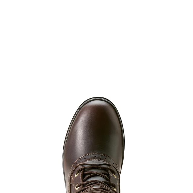 Outdoorlaarzen Ariat Wythburn II Sherpa Waterproof Donkerbruin