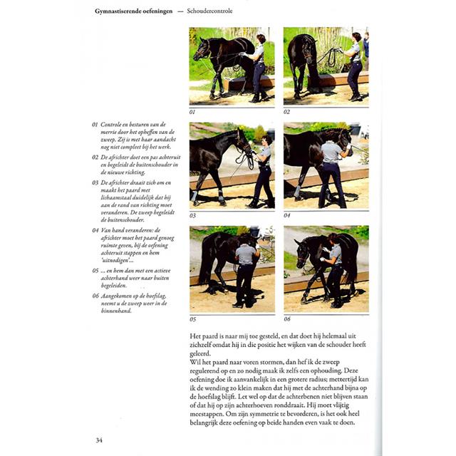 Paarden Gymnastiseren Aan De Hand - Kathrin Roida 
