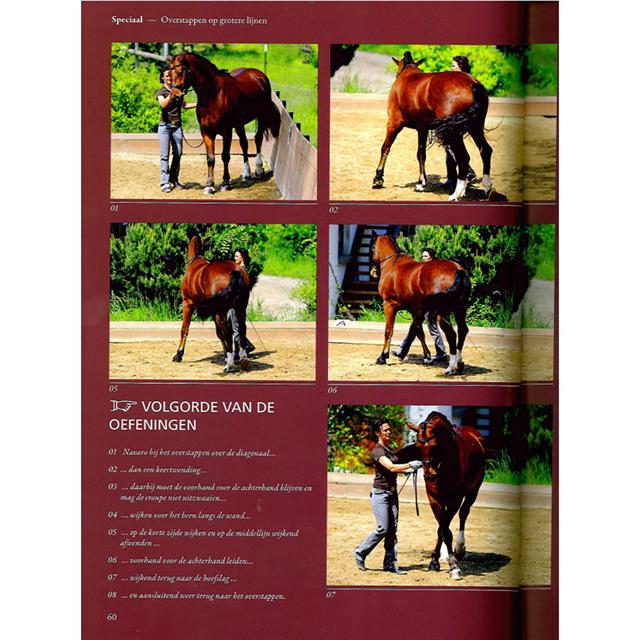 Paarden Gymnastiseren Aan De Hand - Kathrin Roida 