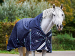 Paardendekens
